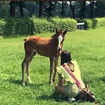 Appartamento Le Scuderie Del Palio